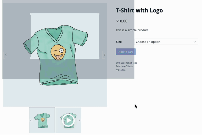 Shop Kit video lightbox demo
