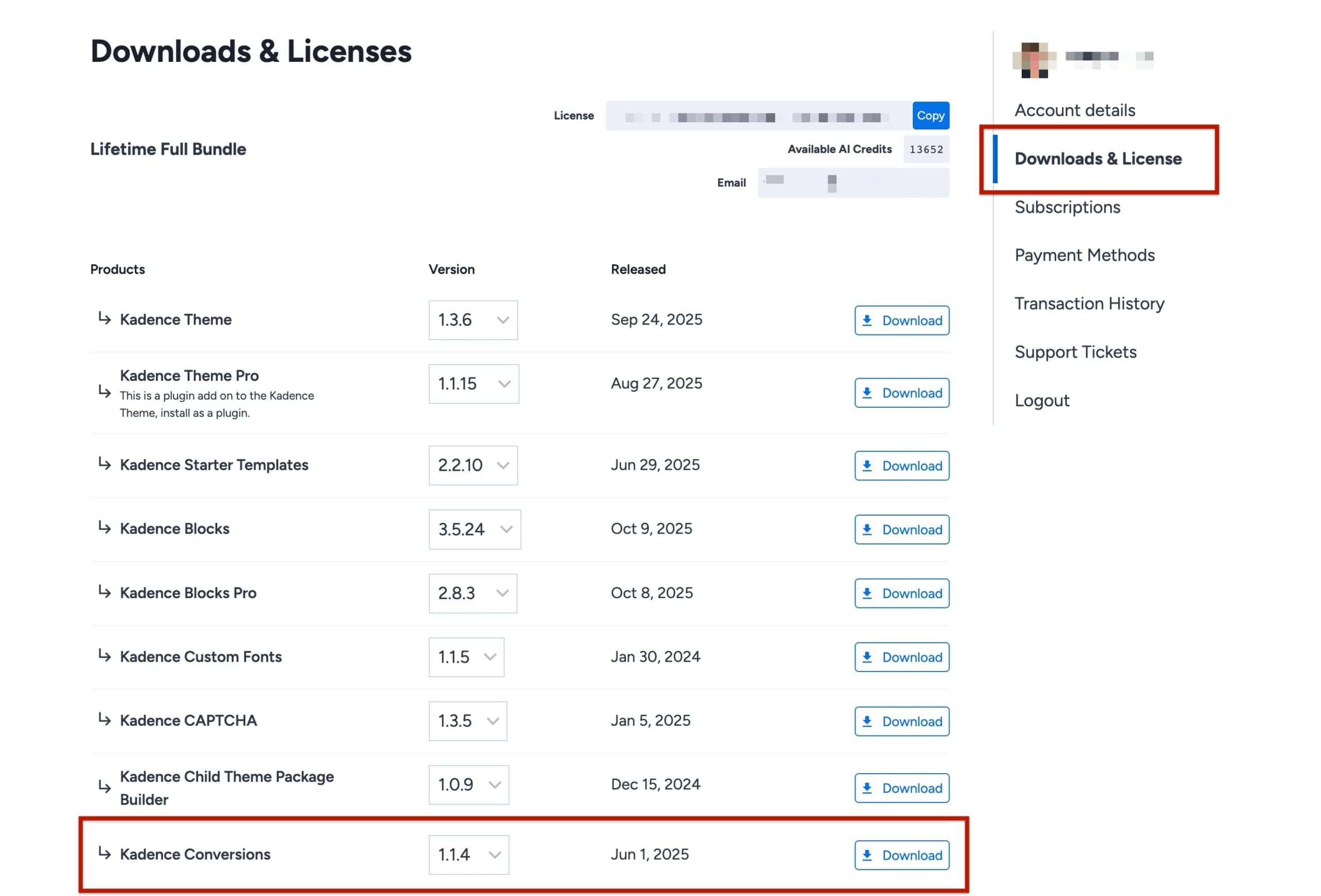 Download Conversions