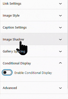 Advanced Gallery Conditonal Display Settings