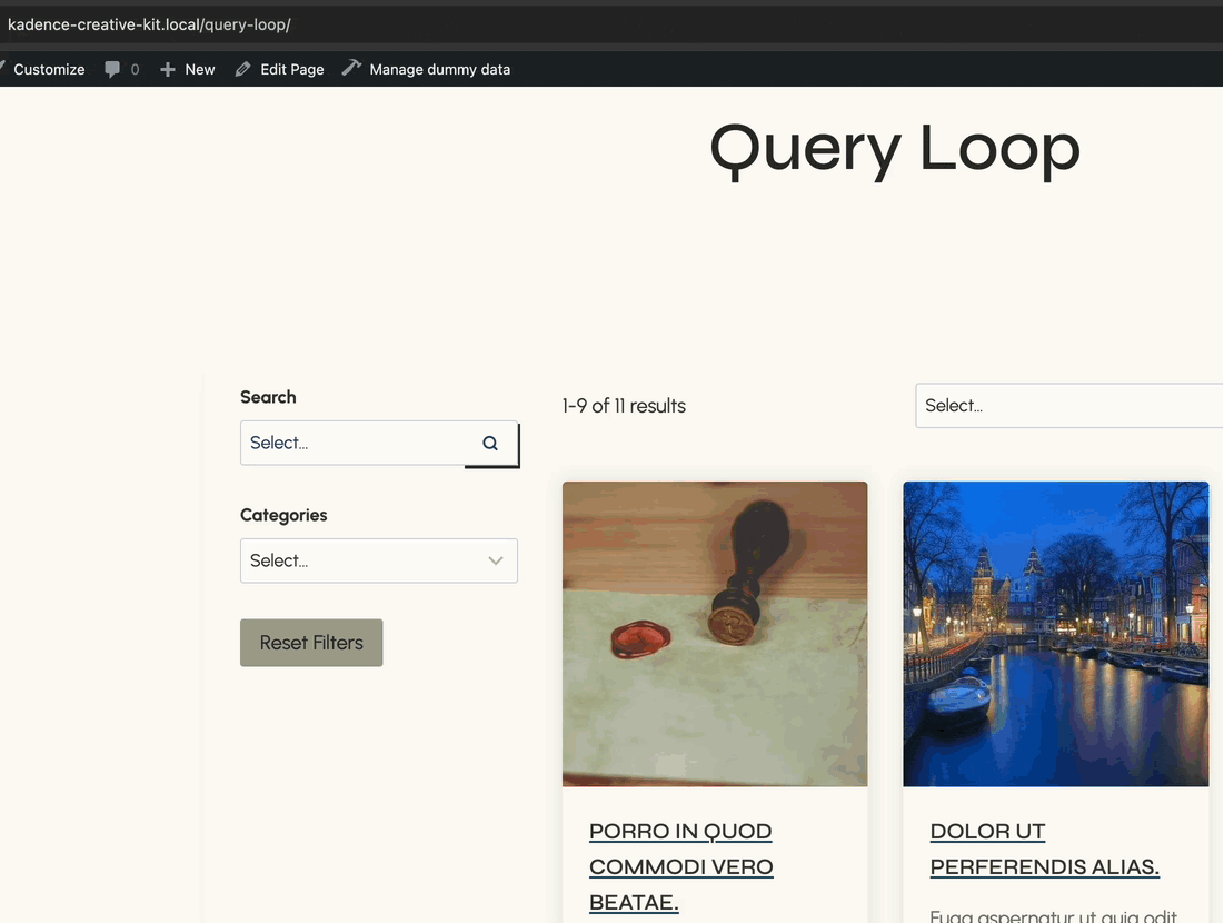 GIF of a Query Loop being Filtered