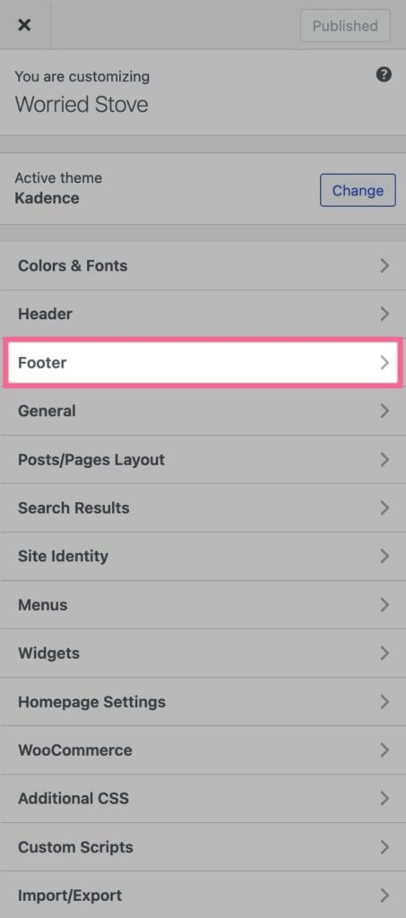 Customizer Footer