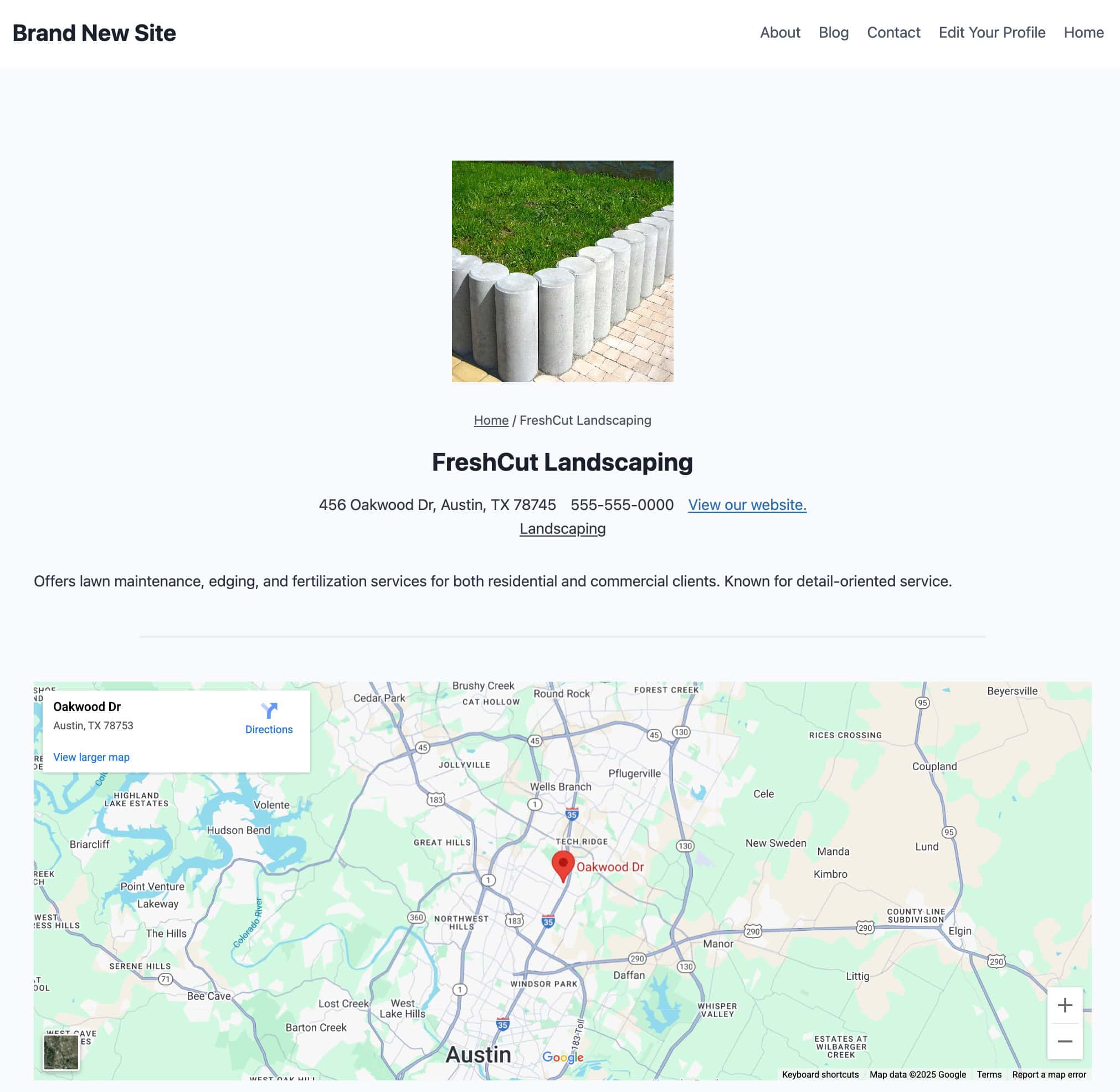 Custom Post Type Creation