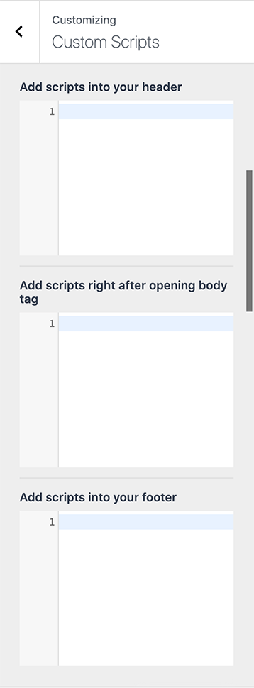 Custom Scripts fields in Kadence