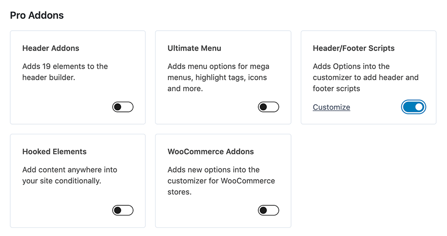Enabling Header/Footer Scripts in Kadence
