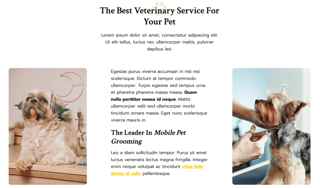 Pet Groomer Kadence Theme