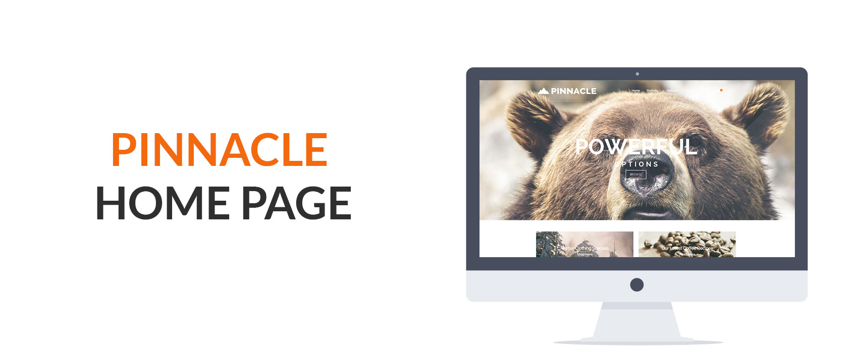 Home Page Pinnacle Premium