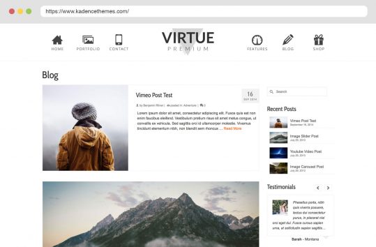 Virtue Premium Blog List