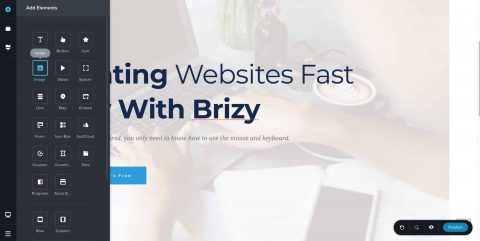 Using Brizy Featured Image