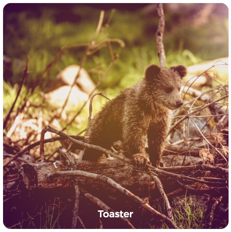 Toaster image filter example