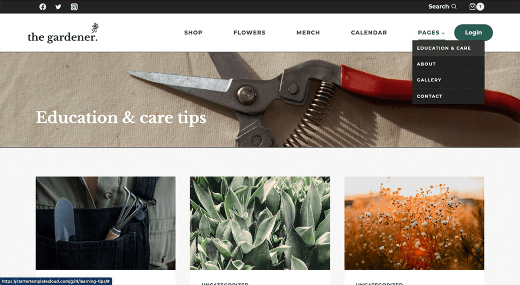 The Gardener Care and Tips