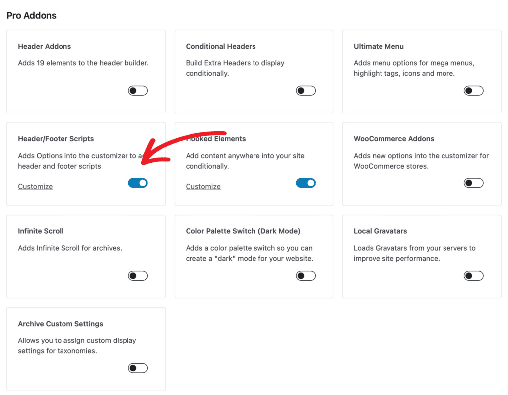 header footer scripts toggle on