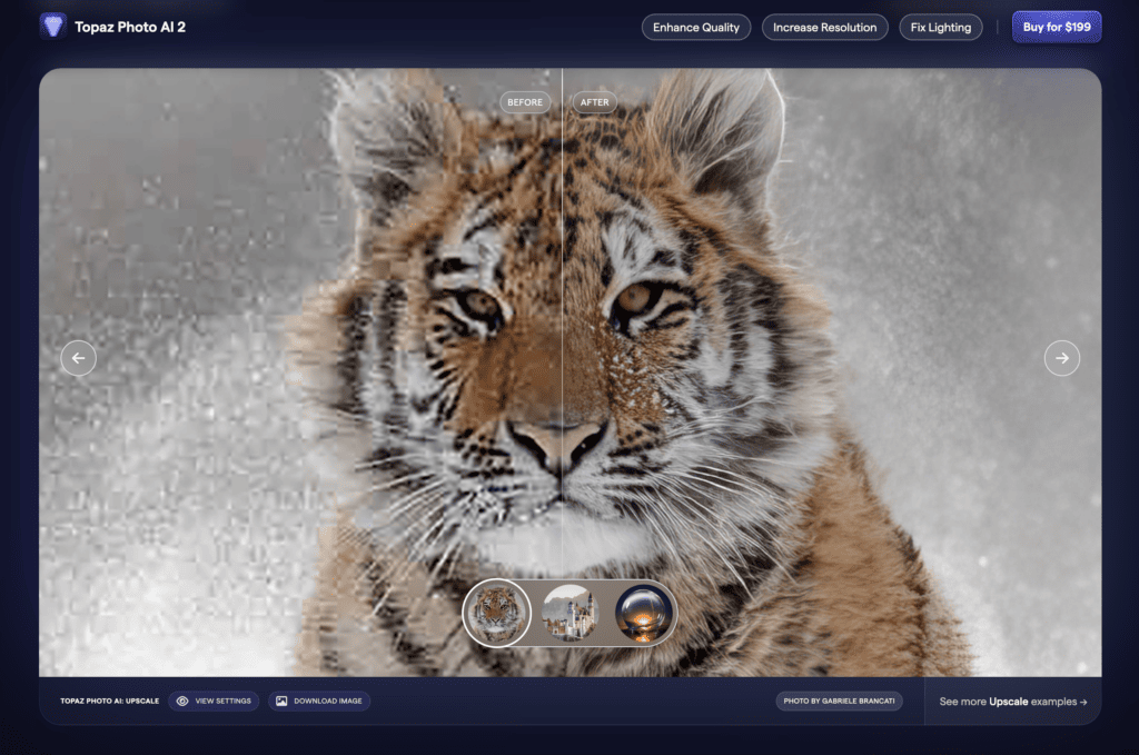 image of a tiger before and after for clearing the image