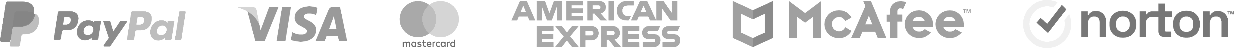 Secure Payments Payment