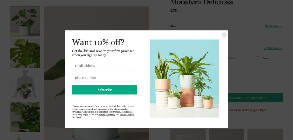Example of an exit-intent popup from The Sill